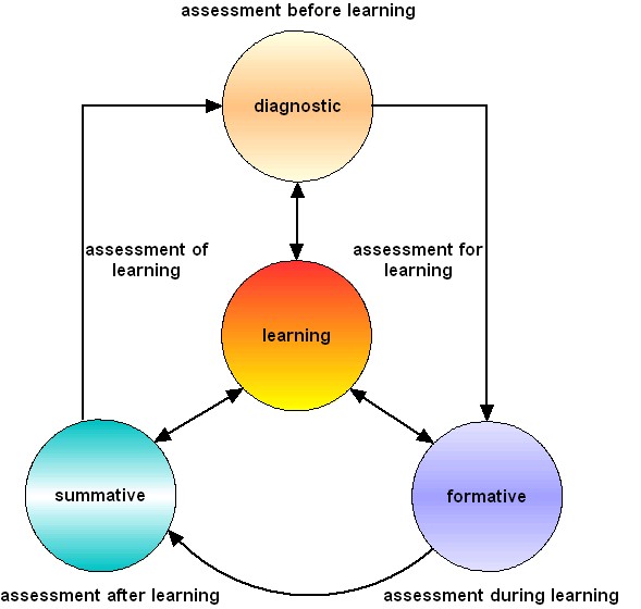 The flexibility of formative assessments allows for personalized learning experiences and responsive teaching strategies