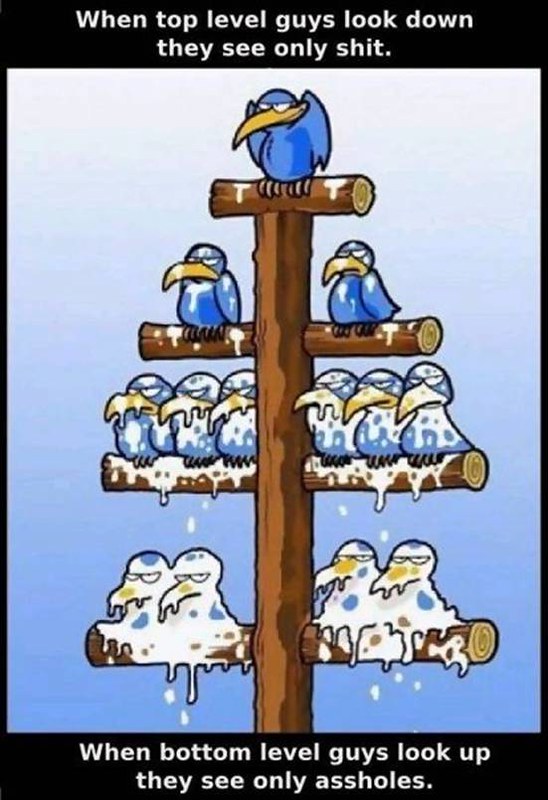 The Leadership Pipeline Model outlines six stages for developing leaders from entry-level positions to executive roles, fostering competencies necessary for higher management success