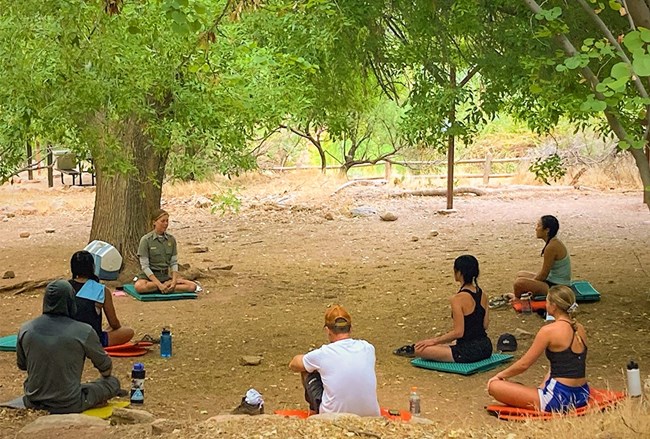 La visualización y el mindfulness en el coaching personal potencian la gestión emocional y el autoconocimiento, clarificando metas y motivando acciones alineadas con tus valores