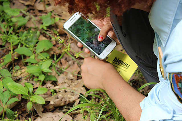 Der 24/7 Zugang zu digitalen Ressourcen und Unterstützungstools stärkt die Infrastruktur des Fernlernens und verbessert die Lernerfahrung