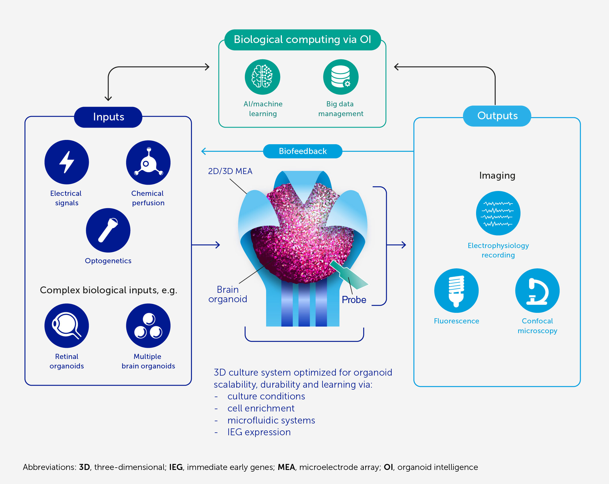 Personalisierung im digitalen Lernen ermöglicht maßgeschneiderte Inhalte und unterstützt Lernende durch Echtzeit-KI-Analysen