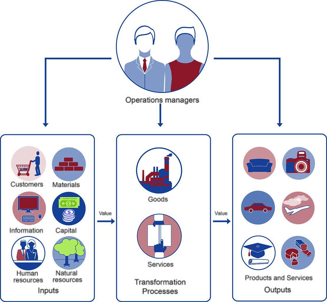 Real-world examples show that automating HR processes and improving engagement can lead to significant efficiency and strategic benefits