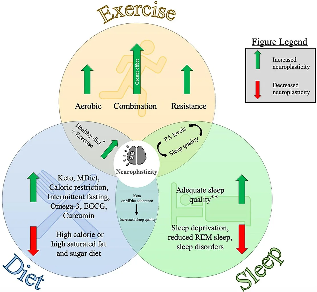 Una dieta equilibrada y saludable, como la mediterránea, puede mejorar significativamente la calidad del sueño
