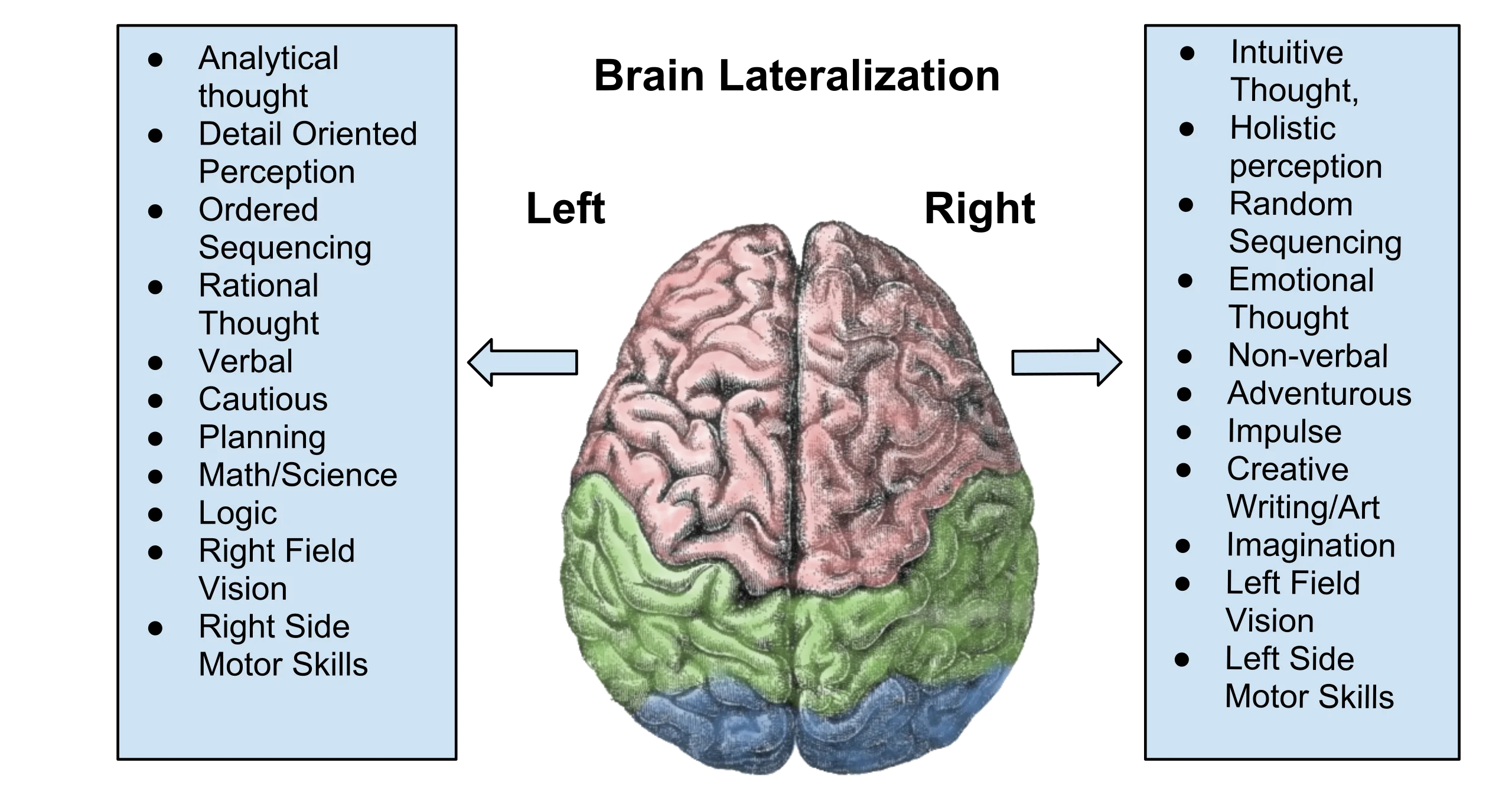 La neuroplasticidad permite que el cerebro se adapte y aprenda a lo largo de toda la vida, crucial para enfrentar cambios laborales