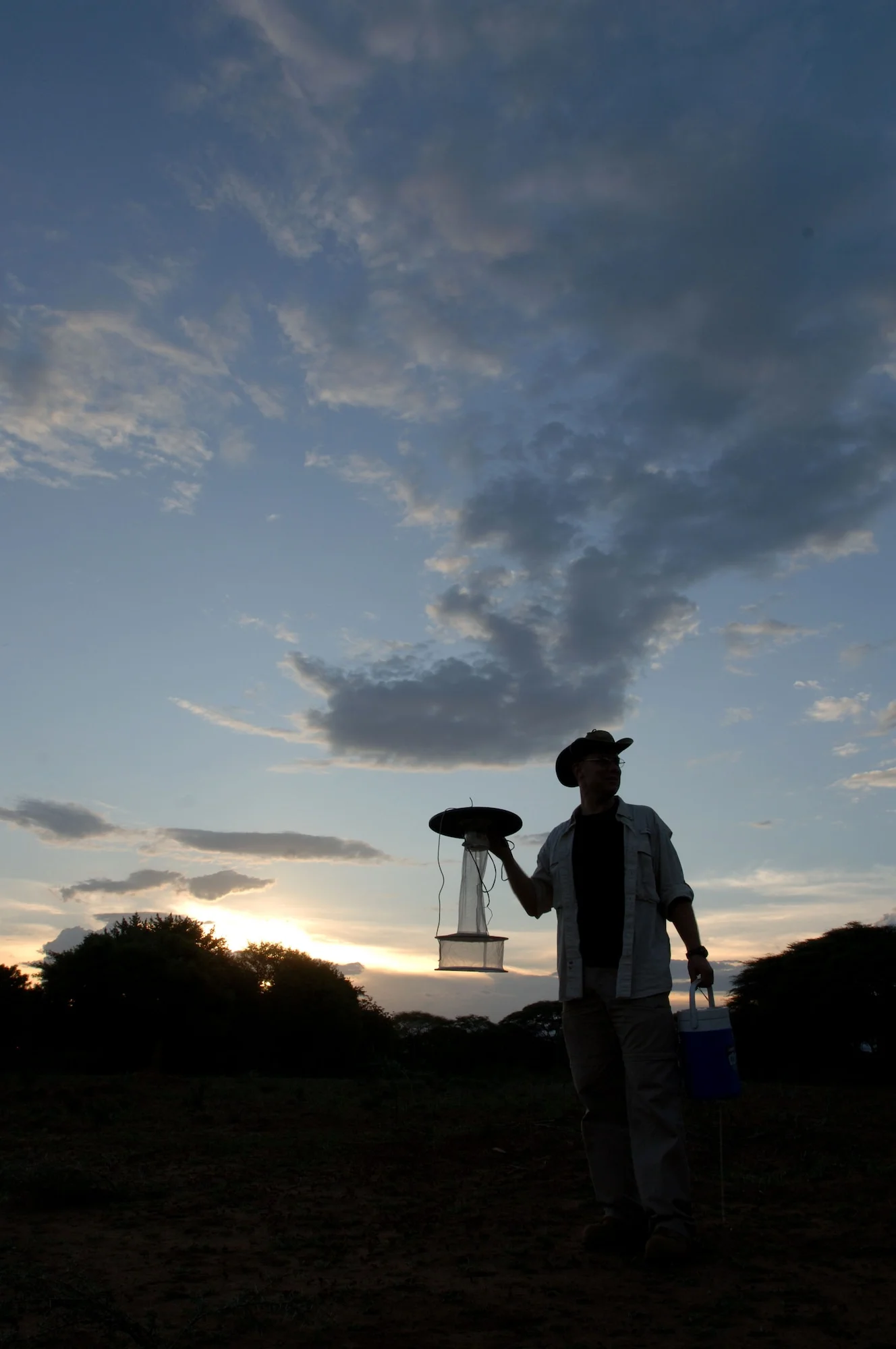 Die Africa Cloud Initiative demonstriert, wie digitale Plattformen und Cloud-Technologien Bildung in Afrika zugänglicher und flexibler machen